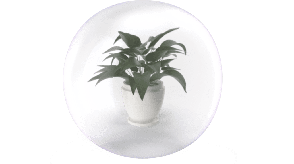 Plant